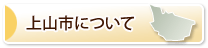 上山市について