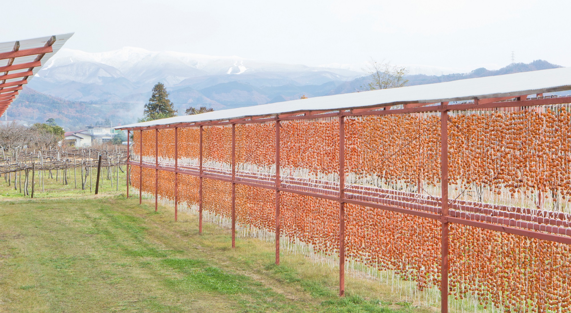 トップページスライド冬①紅柿のれん