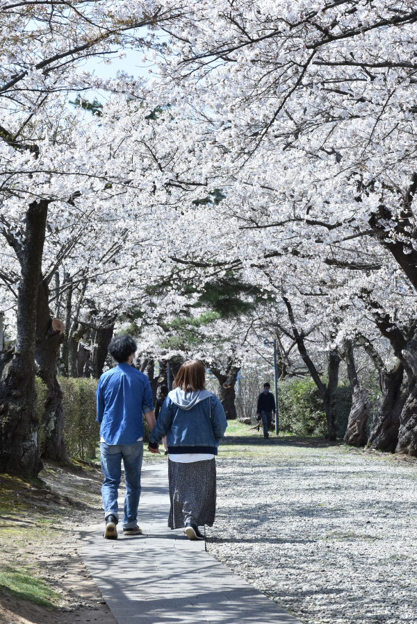 みゆき公園