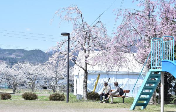 さくら公園２