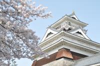 上山城