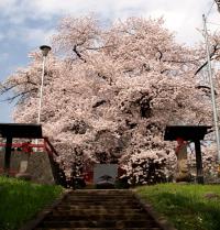 西光寺