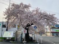 かみのやま温泉駅