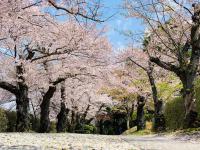みゆき公園