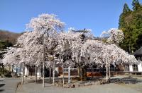 高仙寺