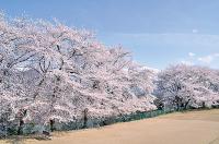 御井戸丁ふれあい公園
