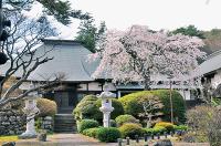 浄光寺