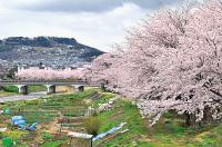 須川
