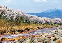 蔵王川