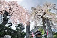 長龍寺