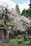 熊野神社