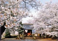 五巴神社