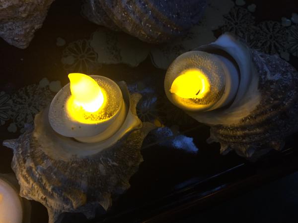 ランタン電気の画像