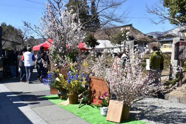 旧曽我部家前の華やかな展示