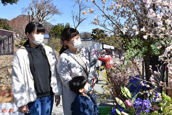 啓翁桜を眺める3人の親子