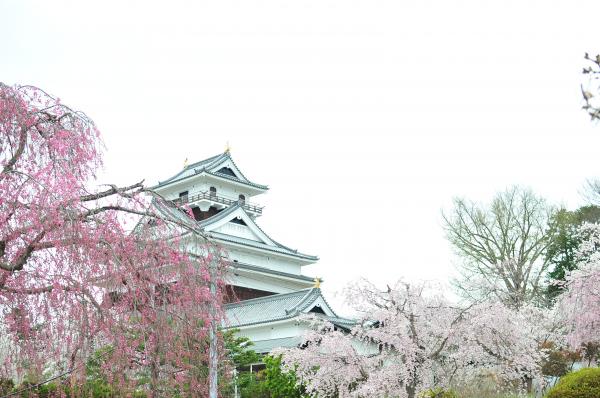 上山城１