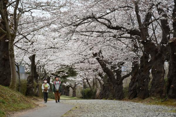 みゆき公園