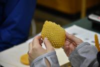 蜜蠟キャンドルづくり
