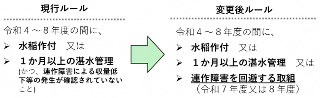 内容