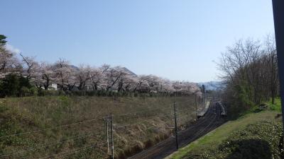 公園１