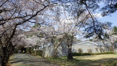 公園２