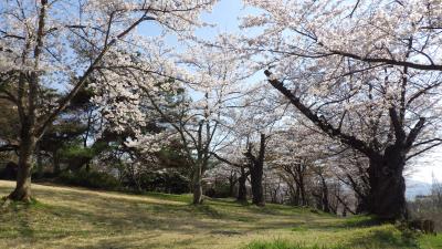 公園４