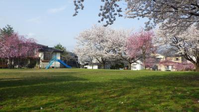公園１