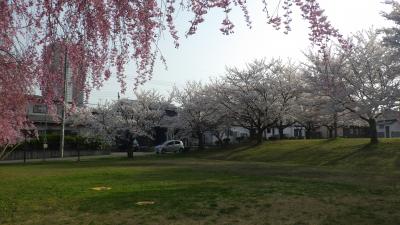 公園２