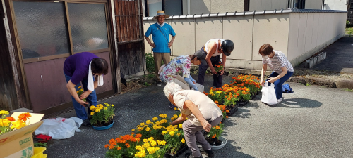 花3