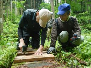 木橋の修繕