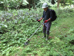 歩道の草刈り