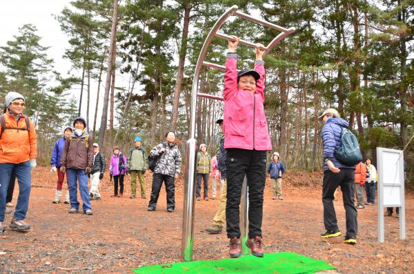 毎日ウォーキングでも大活躍