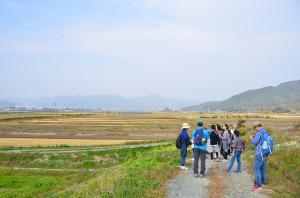 田園風景