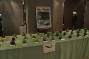 西洋なしフォーラムin上山の写真2