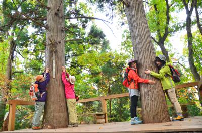 写真①
