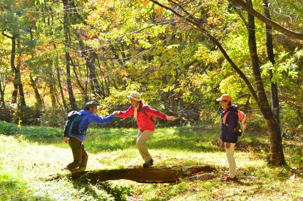里山はどんなところにでもあります