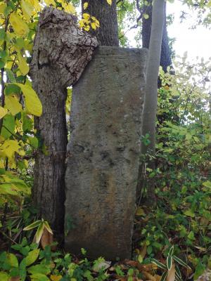 牧野中原の永禄四年板碑