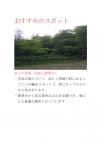 Vol.5